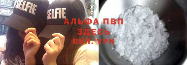 ешки Аркадак