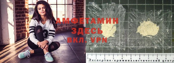 ешки Аркадак
