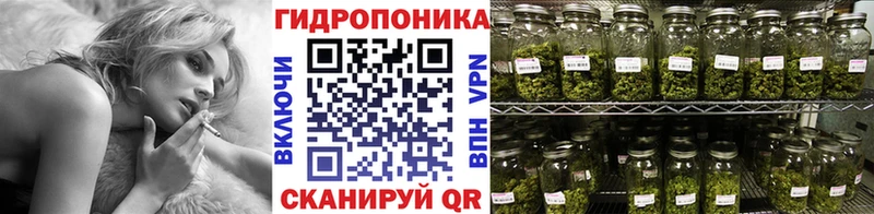 Каннабис конопля купить наркотик Динская
